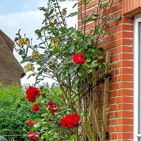 Сasa de vacaciones Liiger Wal Morsum (Sylt)